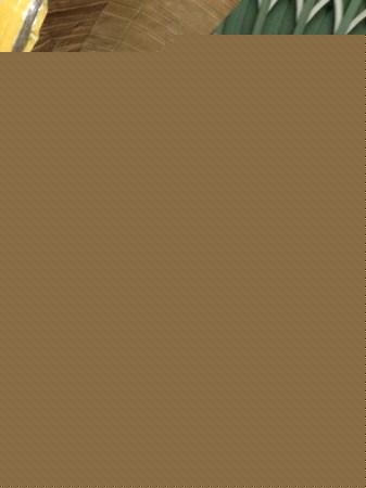 5d_-68